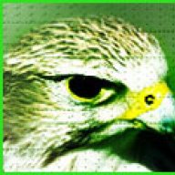 صقر الشحوح 1